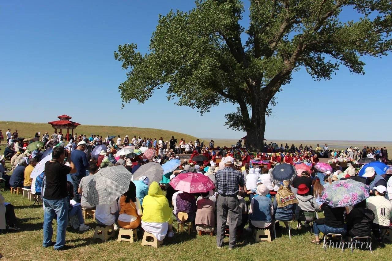 On June 18, the annual “Һazr täklhn” rite will be held at the “Lonely Poplar”