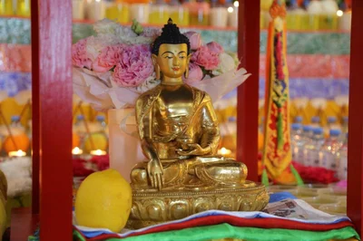 For boundless love, for help, for the chance to comprehend the bestowed Buddhist Teaching, we offer our prayers to the Teacher