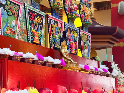All Prayers Today Are for the Great Teacher — Buddha Shakyamuni